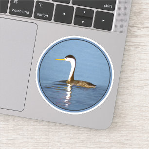 Pegatina Pintura de Clark's Grebe - Arte Original de Aves S