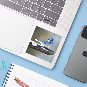 Pegatina Pintura de Jay azul - Arte de pájaro original