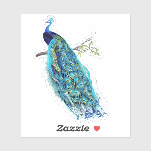 Pegatina PixDezines Vintage Peacock Aqua Blue+Gold (Hoja)