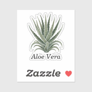 Pegatina Planta de Aloe Vera Herbolario 