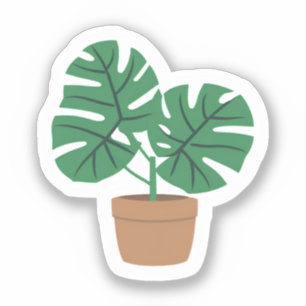 Pegatina Planta Monstera   Hermosa Planta Verde en Maceta