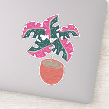 Planta Monstera Rosa Dibujada a Mano
