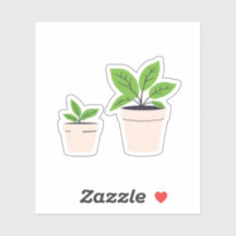 Plantas en Maceta