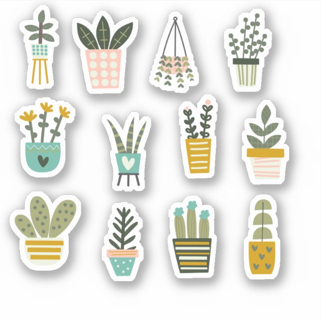 Pegatina Plantas Potables, Succulent & Cactus Vinyl (Anverso)