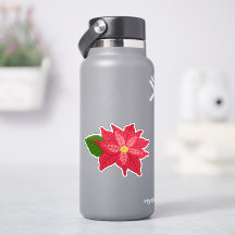 Poinsettia de Navidad roja y rosa