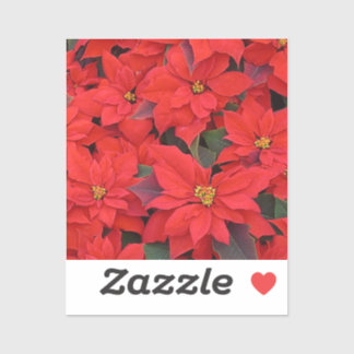 Pegatina Poinsettias rojas Navidad la foto floral navideña