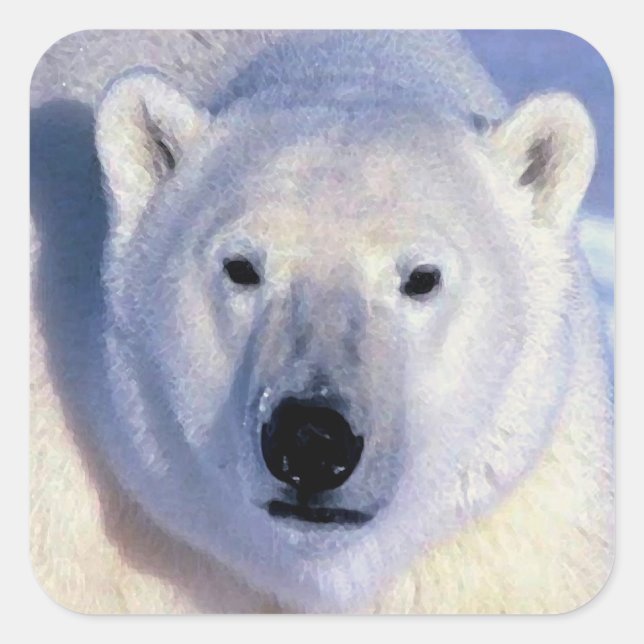 Pegatina Polar Bear Square (Anverso)