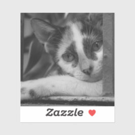 Pegatina Por favor gatito