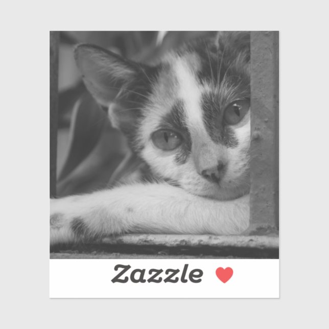 Pegatina Por favor gatito (Hoja)