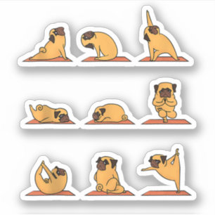 Pegatina Posturas de Yoga de Cachorro Pug y Meditación Pug 