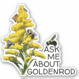 Pegatina Pregúntame sobre Goldenrod y pollinadores