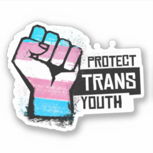 Pegatina Proteger a la Juventud Trans - Puño Orgulloso