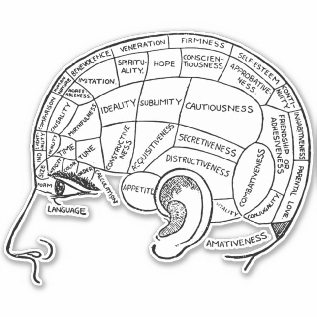 Pegatina Psicología de la neuralogía de la Psicología Vinta (Anverso)