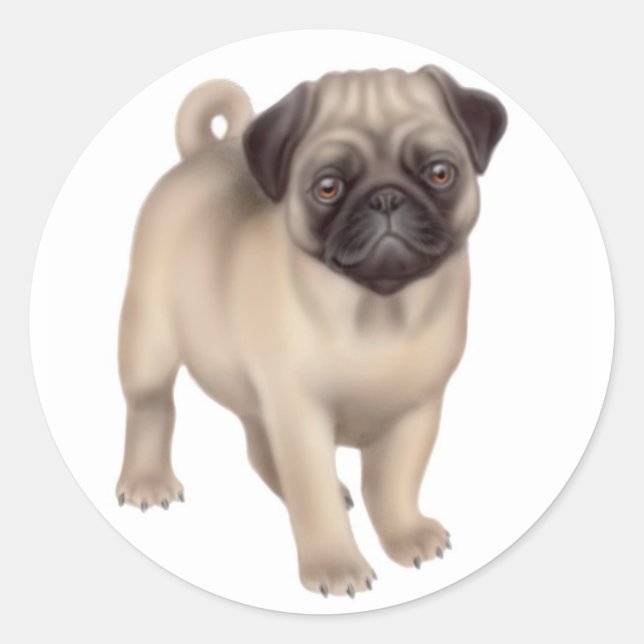 Pegatina Pug Puppy (Anverso)