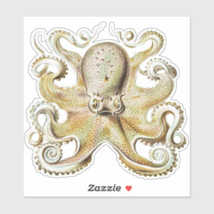 Pegatina Pulpito Vintage de Ernst Haeckel Vida Marina Náuti