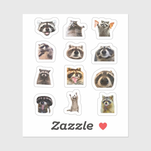 Pegatina Raccoon Meme Funny Sticker Set Bundle (Hoja)
