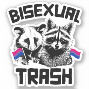Pegatina Raccoon y Possum