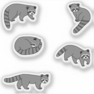 Pegatina Raccoons