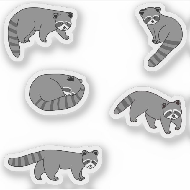 Pegatina Raccoons (Anverso)