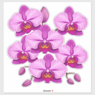 Pegatina Rama de flores de orquídea rosa vibrante