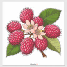 Rama de Rambután Brillante con Flores Rosas