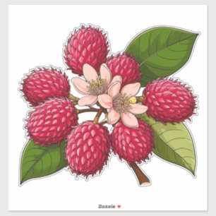 Pegatina Rama de Rambután Brillante con Flores Rosas