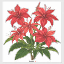 Ramo de flores de hibisco rojo vibrante