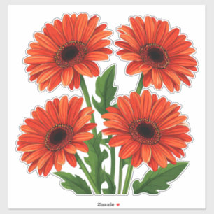 Pegatina Ramo de Gerbera Daisy Rojo Brillante