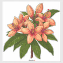 Ramo de Hibisco Naranja Brillante