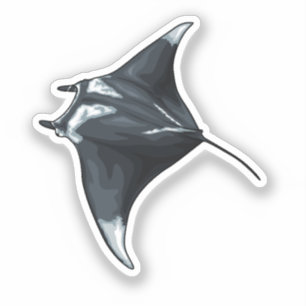 Pegatina Rayo de manta