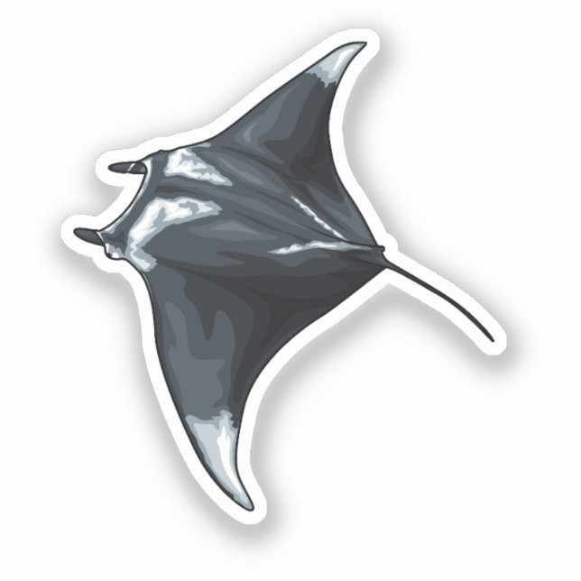 Pegatina Rayo de manta (Anverso)