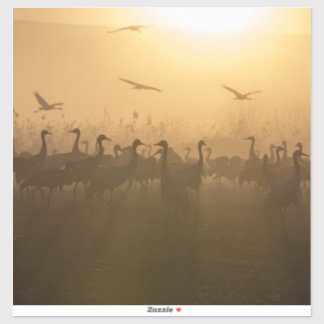 Pegatina Rebaño de aves en el lago Agamon HaHula, Israel