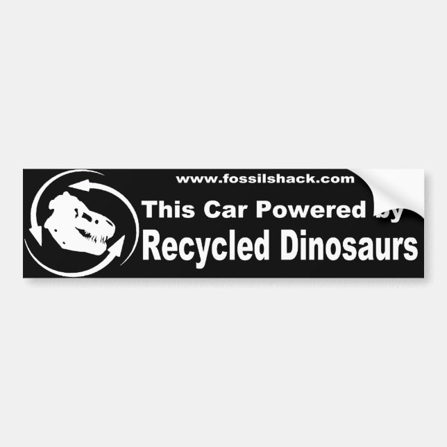 Pegatina reciclado de Bumber de los dinosaurios (Frente)