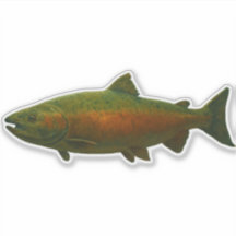 Pegatina recortada de salmón