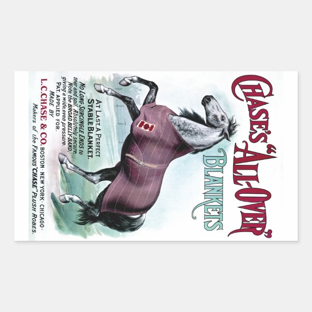 Pegatina Rectangular 19.º C. Caballo de Chase (Anverso)