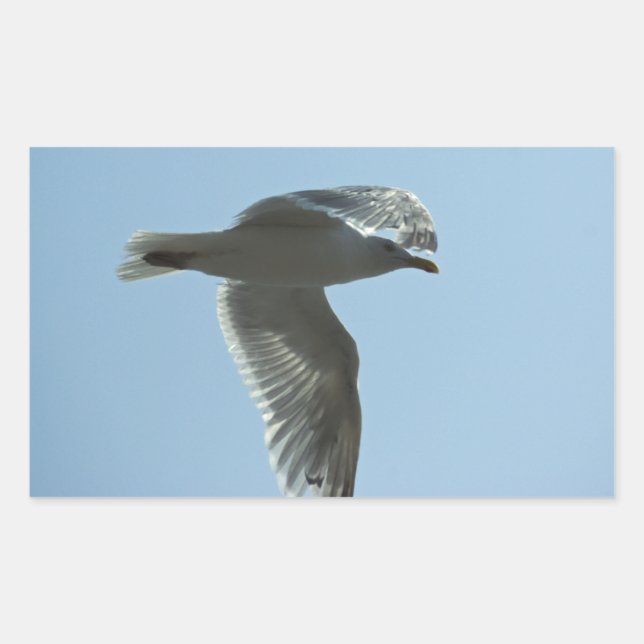 PEGATINA RECTANGULAR 2367 (Anverso)