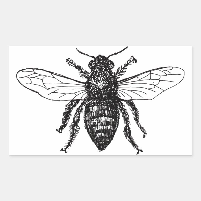 Pegatina Rectangular Abeja Obrera Miel Abejorro Negro (Anverso)