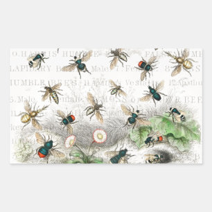 Pegatina Rectangular Abeja Reina Entomología Botánica Vintage