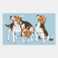 abejorro beagle