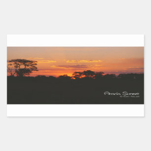 Pegatina Rectangular Acacia Sunset