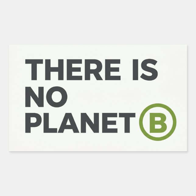 Pegatina Rectangular Activista ambiental No hay planeta B (Anverso)