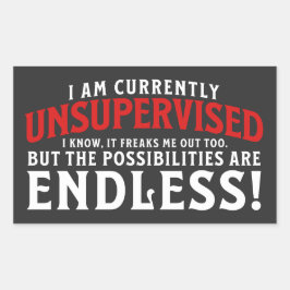 Pegatina Rectangular Actualmente Estoy Sin Supervisión