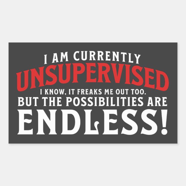 Pegatina Rectangular Actualmente Estoy Sin Supervisión (Anverso)
