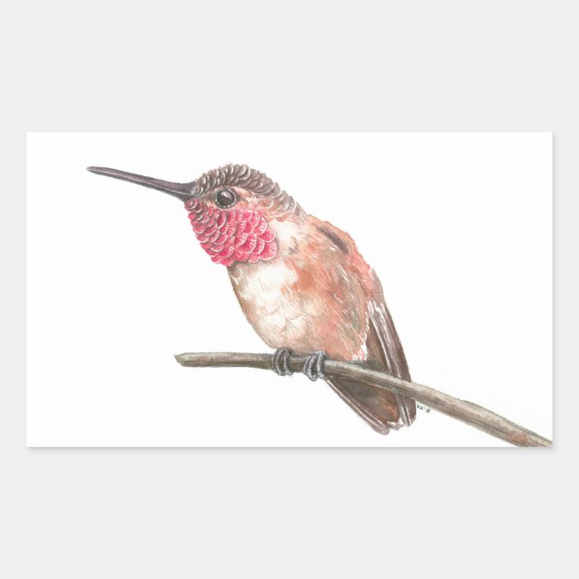 Pegatina Rectangular acuarela de colibrí (Anverso)