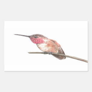 Pegatina Rectangular acuarela de colibrí