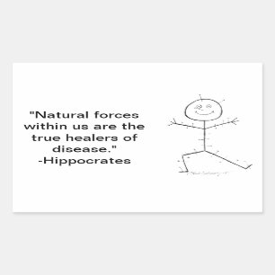 Pegatina Rectangular Acupuntura pegajosa