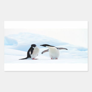 Pegatina Rectangular Adelie Penguins