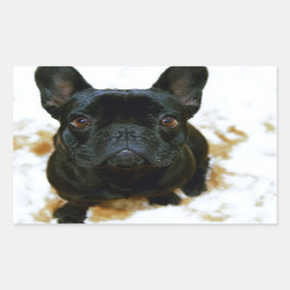 Pegatina Rectangular ¡Adorable Cachorro de Bulldog francés!
