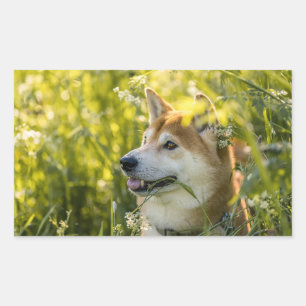 Pegatina Rectangular ainu shiba en flores