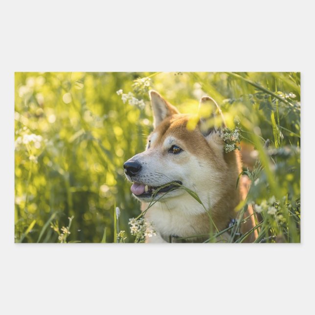 Pegatina Rectangular ainu shiba en flores (Anverso)